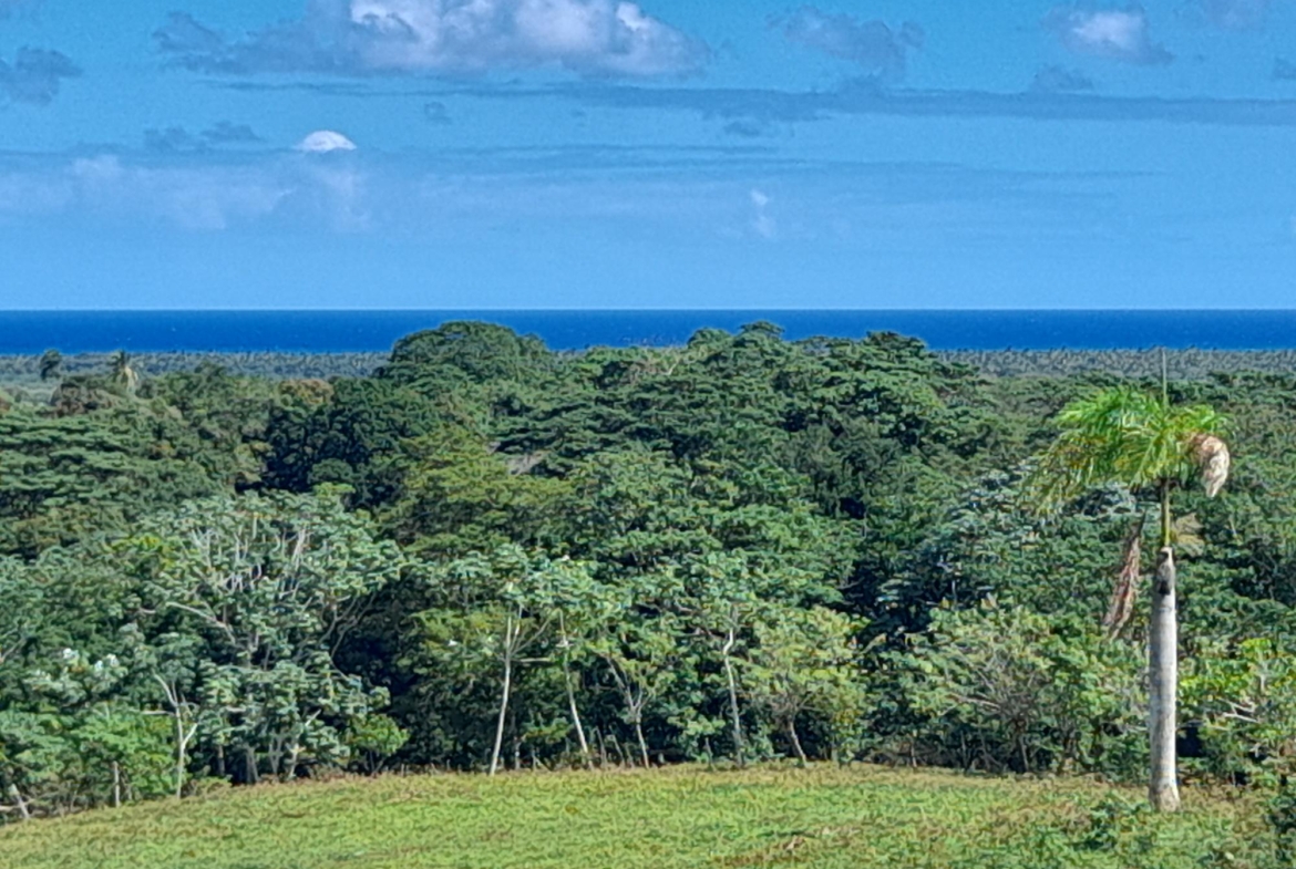 Terrenos en la montaña, The Reserve At Nisibon ideal para villas de descanso y retiro.