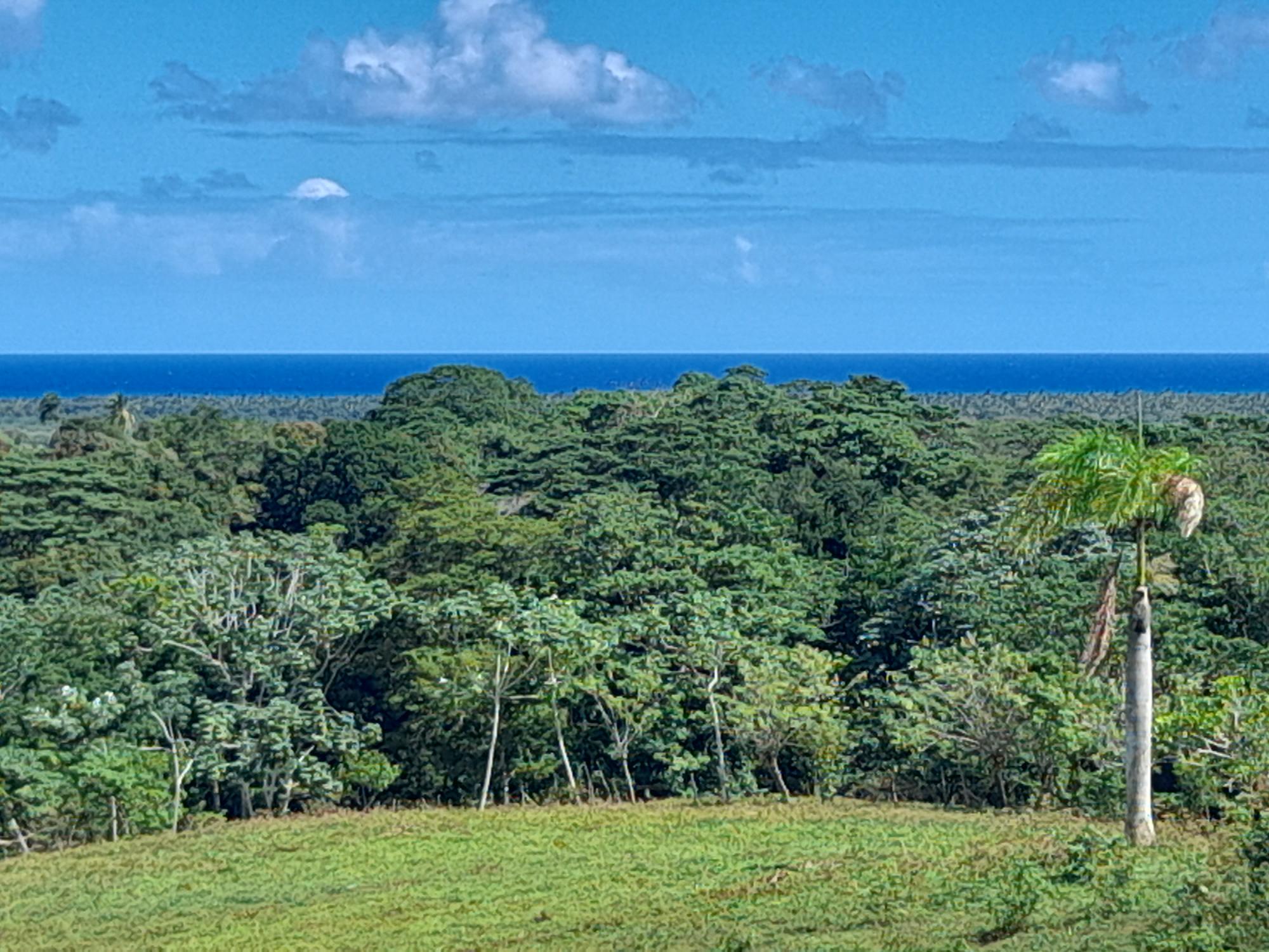 Terrenos en la montaña, The Reserve At Nisibon ideal para villas de descanso y retiro.