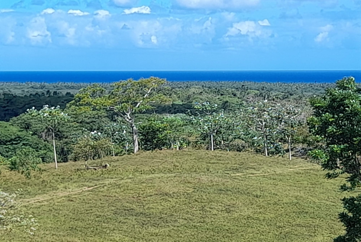 Terrenos en la montaña, The Reserve At Nisibon ideal para villas de descanso y retiro.