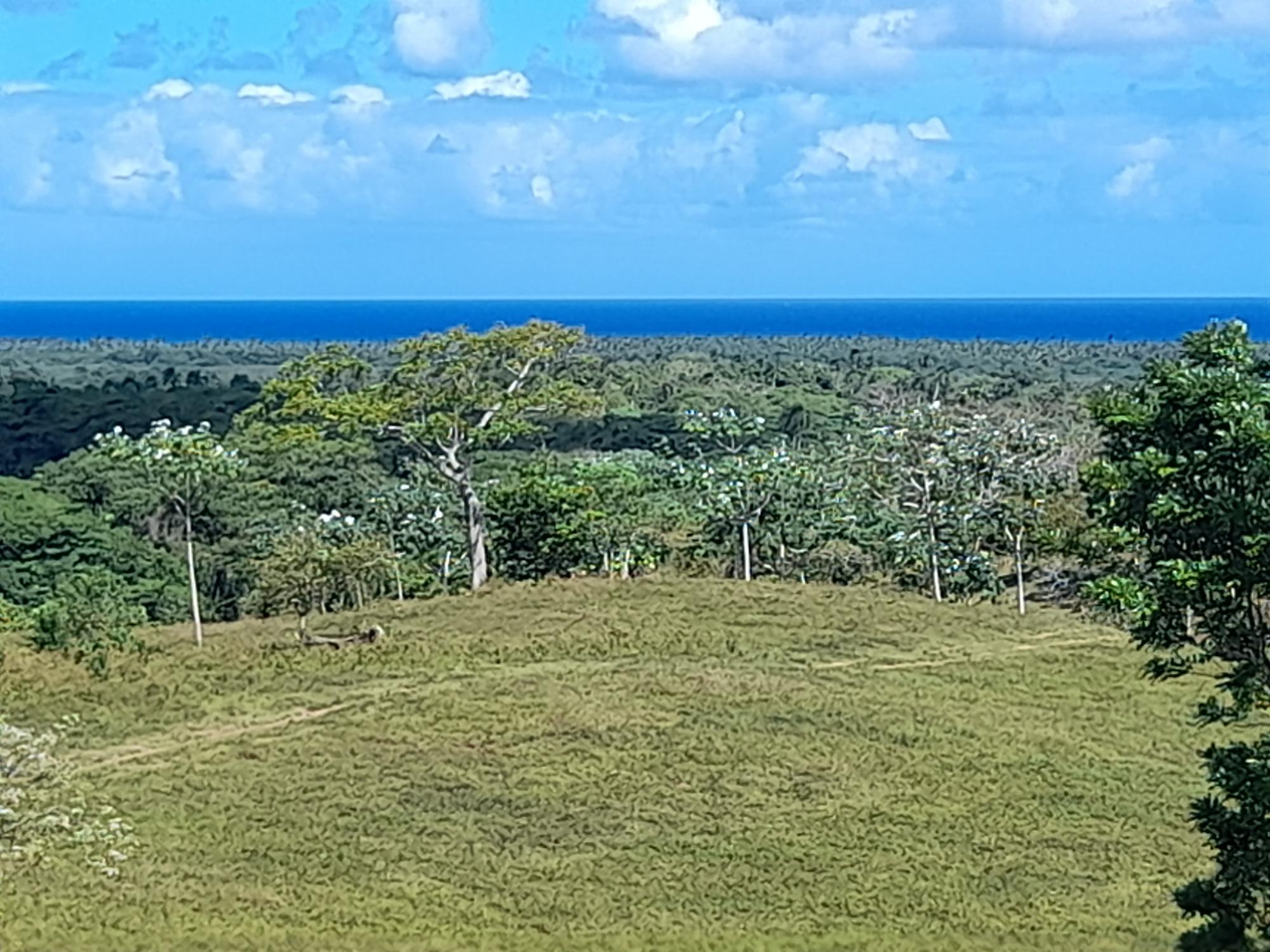 Terrenos en la montaña, The Reserve At Nisibon ideal para villas de descanso y retiro.